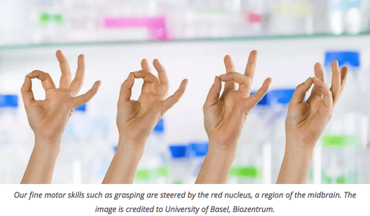 Screen Shot 2019-06-14 at 13.01.20.png